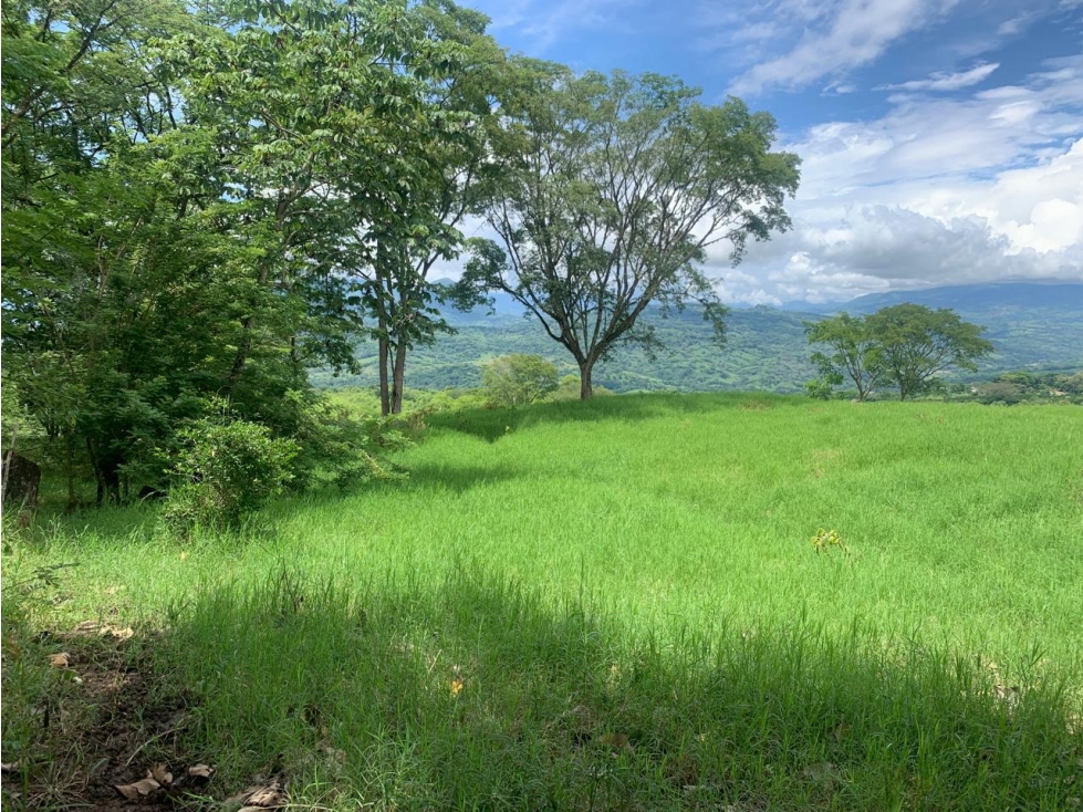 VENTA LOTE TÁMESIS, - SUROESTE ANTIOQUEÑO - 1