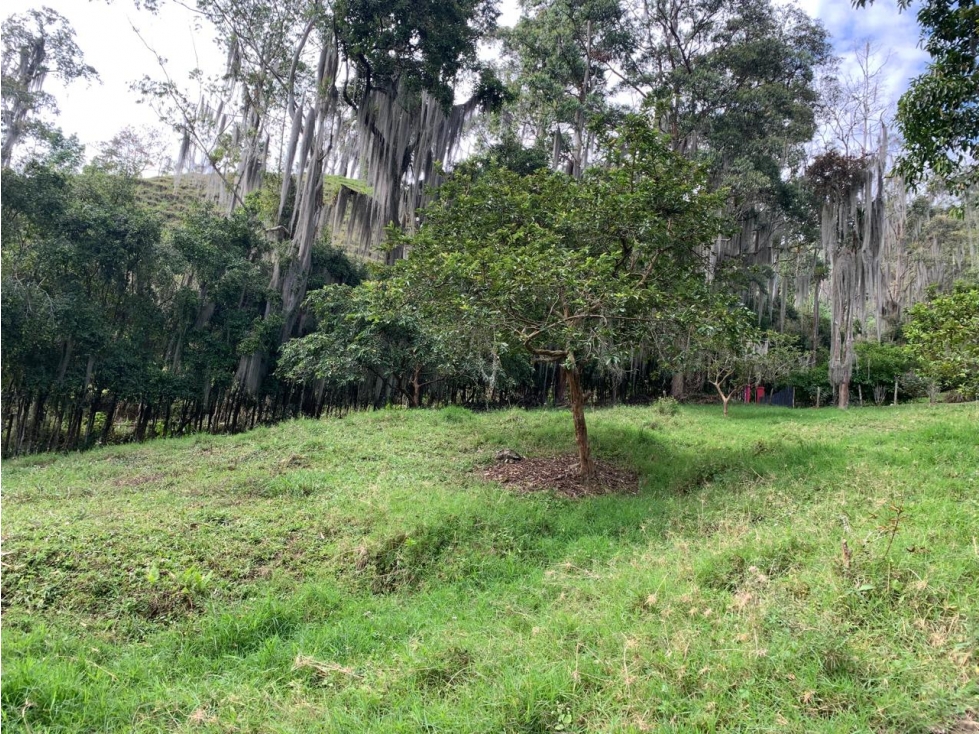 VENTA LOTE, AMAGÁ - SUROESTE ANTIOQUEÑO - 2