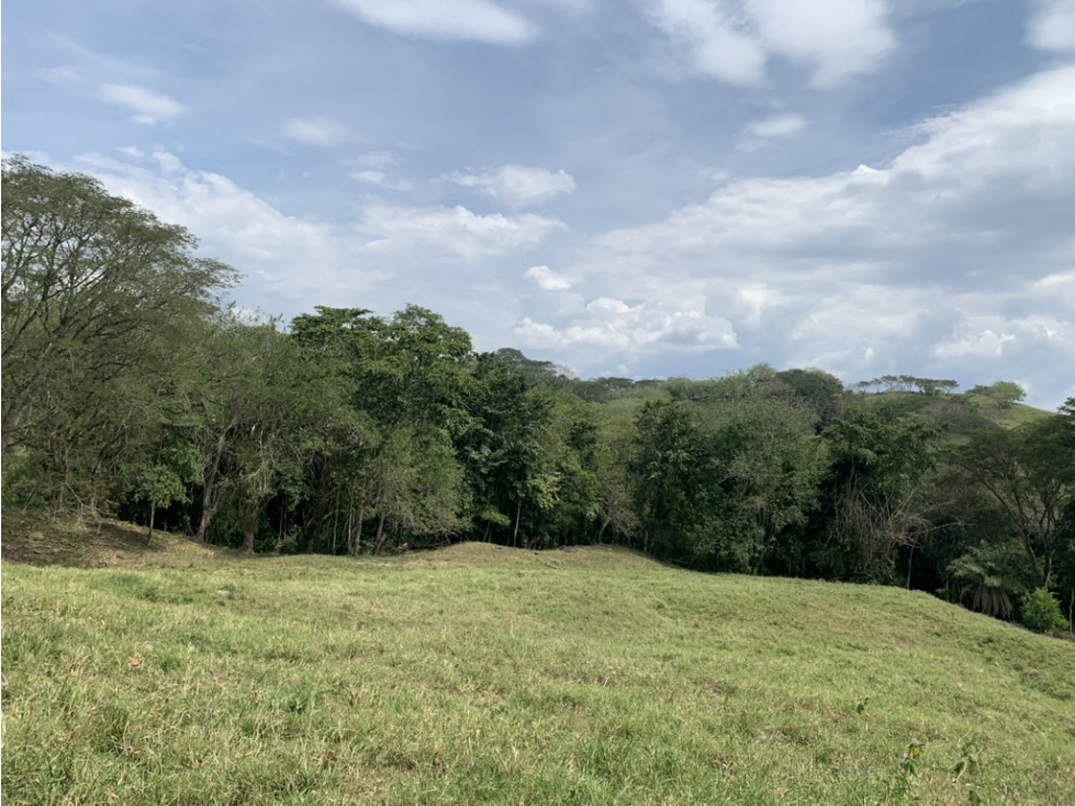 VENTA LOTE PUENTE IGLESIAS, FREDONIA SUROESTE ANTIOQUEÑO - 2