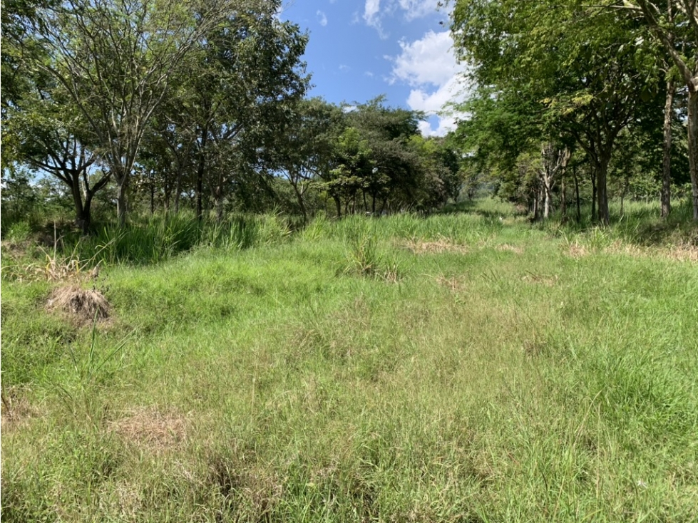 VENTA LOTE FREDONIA SUROESTE ANTIOQUEÑO - 6