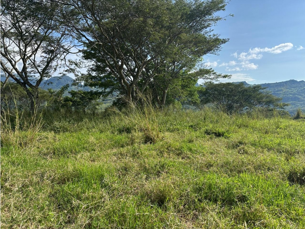 VENTA LOTE LA SIRIA - SUROESTE ANTIOQUEÑO AMAGÁ - 6