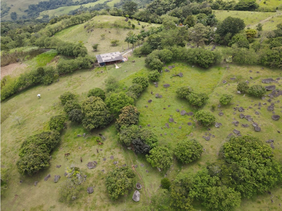 VENTA FINCA BOLOMBOLO, SUROESTE ANTIOQUEÑO. - 2