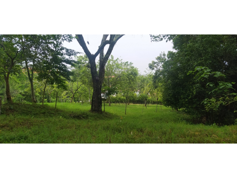 VENTA LOTE VENECIA, SUROESTE ANTIOQUEÑO - 2