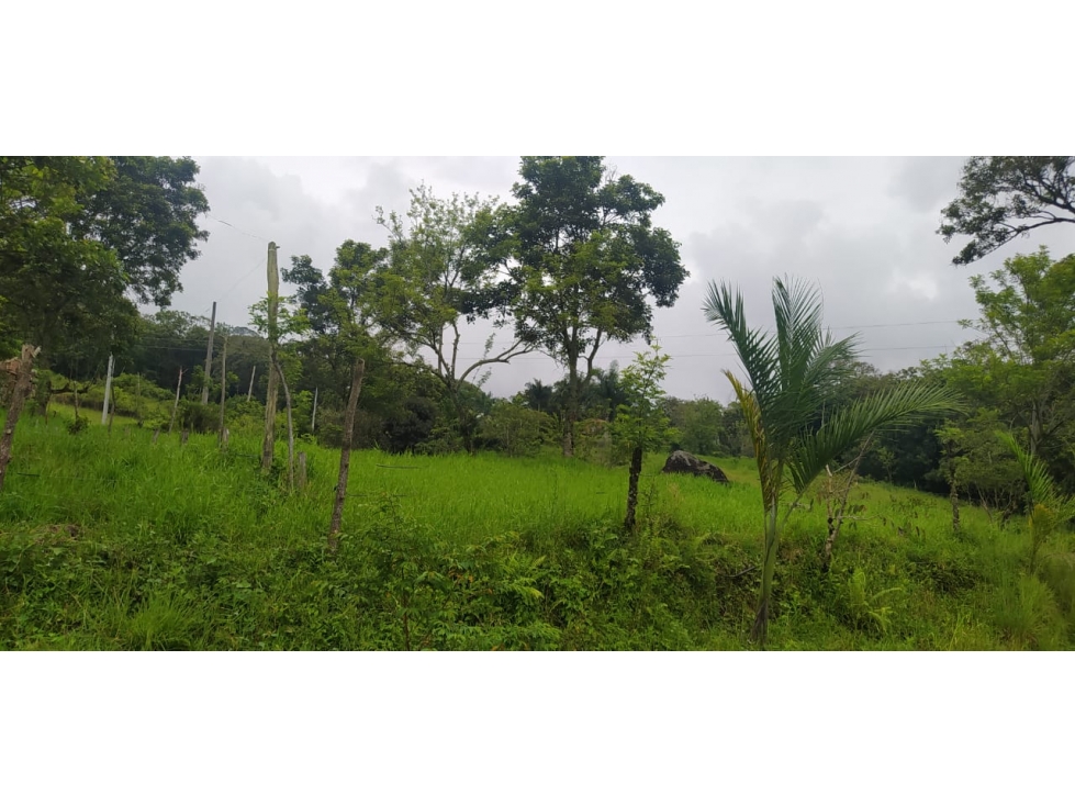 VENTA LOTE VENECIA, SUROESTE ANTIOQUEÑO - 3