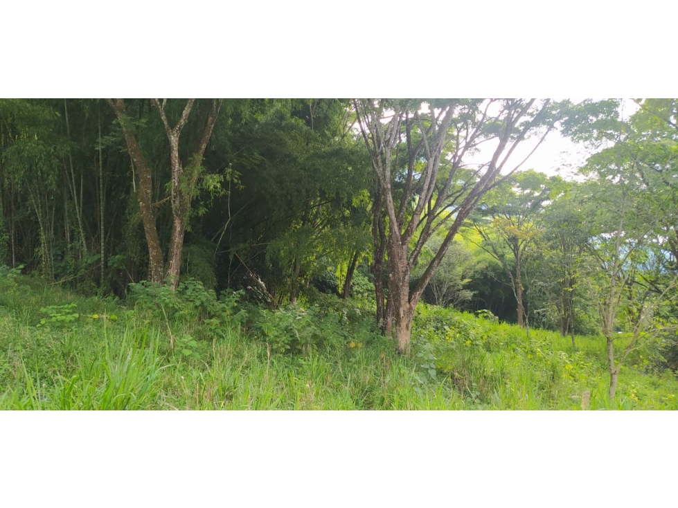 VENTA LOTE, JERICO - SUROESTE ANTIOQUEÑO - 5