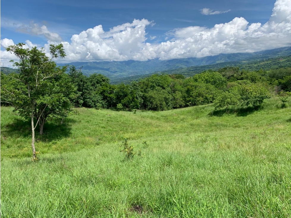 VENTA LOTE TÁMESIS - SUROESTE ANTIOQUEÑO - 3