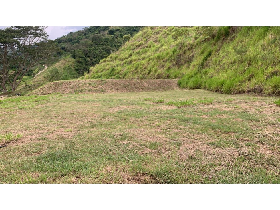 VENTA DE LOTE SALGAR SUROESTE ANTIOQUEÑO - 1