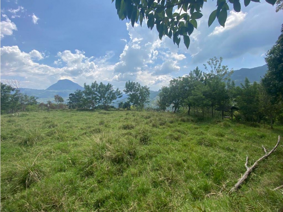 VENTA LOTE, AMAGÁ - SUROESTE ANTIOQUEÑO - 3