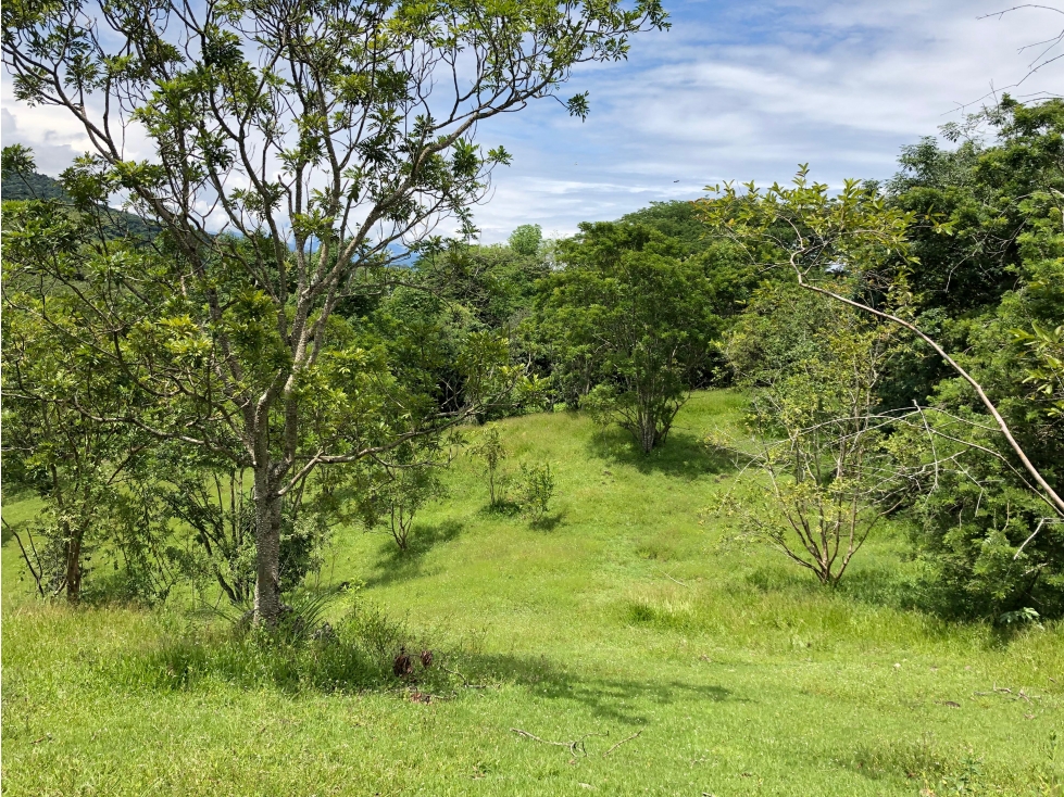 VENTA DE LOTE EN PUENTE IGLESIAS SUROESTE DE ANTIOQUIA - 3