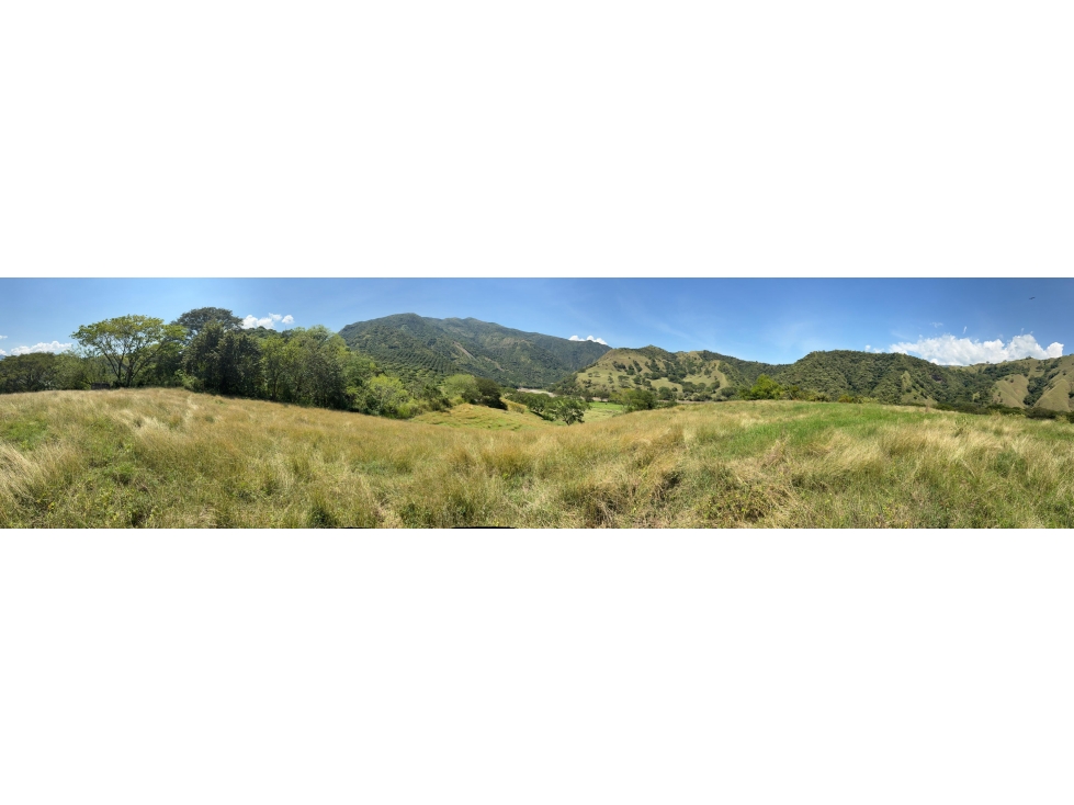 VENTA FINCA, BETULIA SUROESTE ANTIOQUEÑO - 5