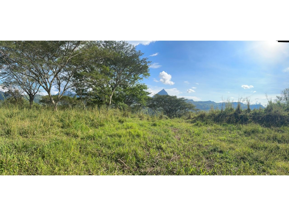VENTA LOTE LA SIRIA - SUROESTE ANTIOQUEÑO AMAGÁ - 5