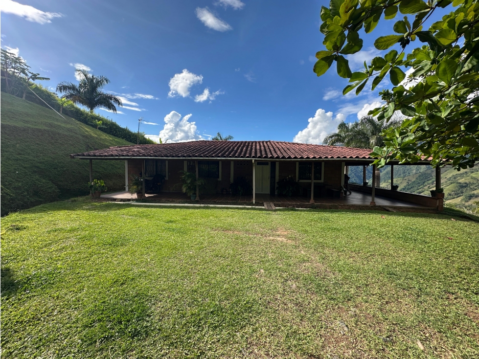 VENTA FINCA VENECIA, SUROESTE ANTIOQUEÑO — foto 2