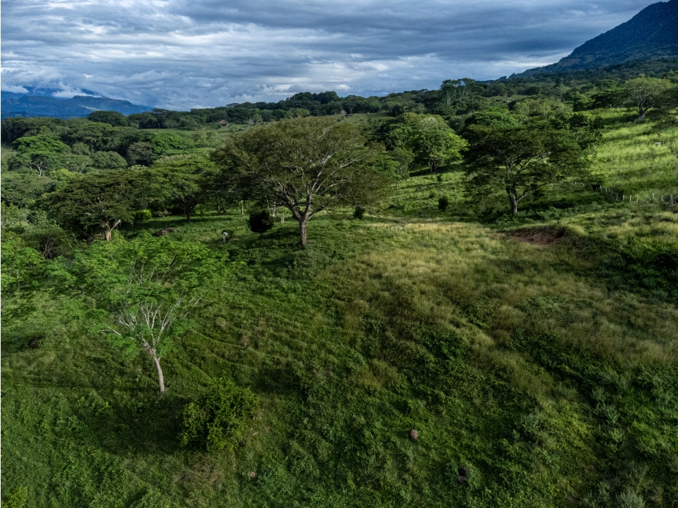 VENTA LOTE EN LA BOTERO, JERICÓ SUROESTE ANTIOQUEÑO. - 4