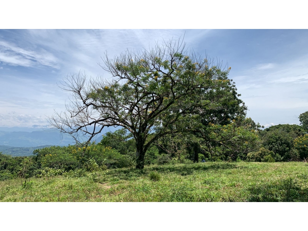VENTA LOTE TÁMESIS, SUROESTE ANTIOQUEÑO - 2