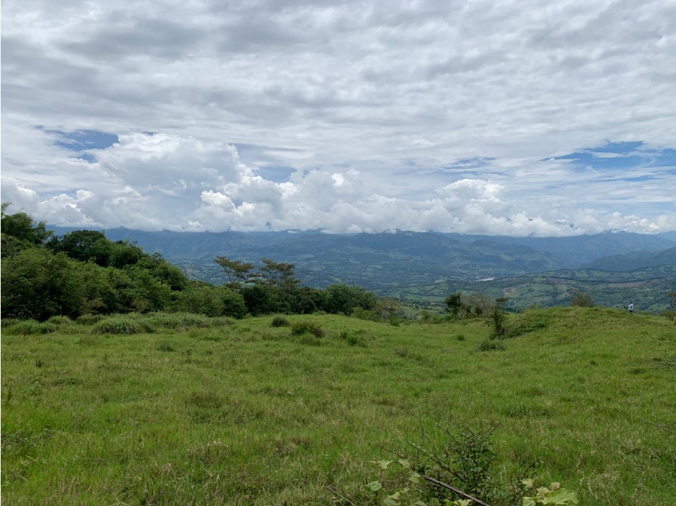 VENTA LOTE, TÁMESIS - SUROESTE ANTIOQUEÑO - 6