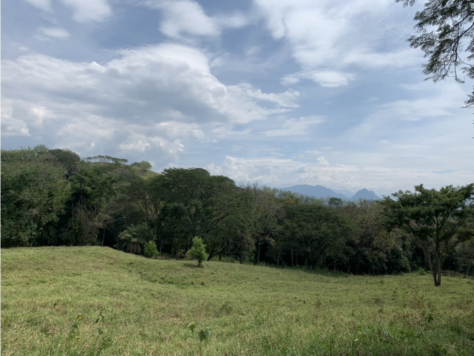 VENTA LOTE PUENTE IGLESIAS, FREDONIA SUROESTE ANTIOQUEÑO - 3