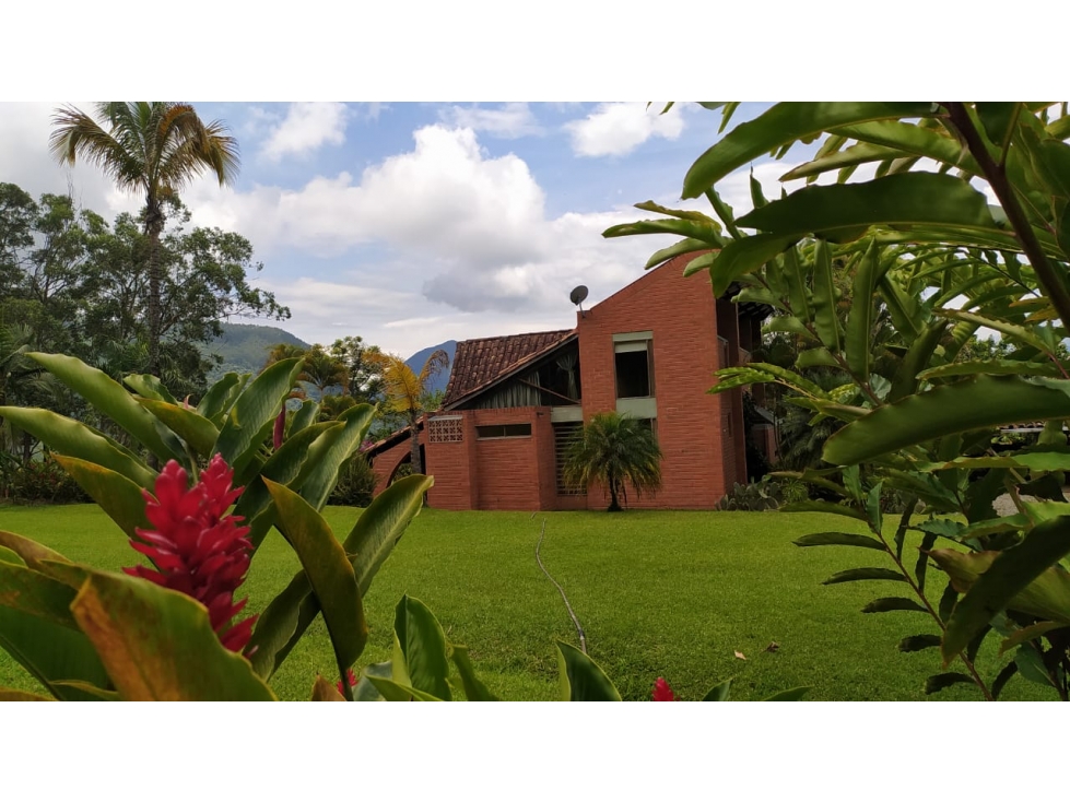 VENTA FINCA, VENECIA - SUROESTE ANTIOQUEÑO - 5