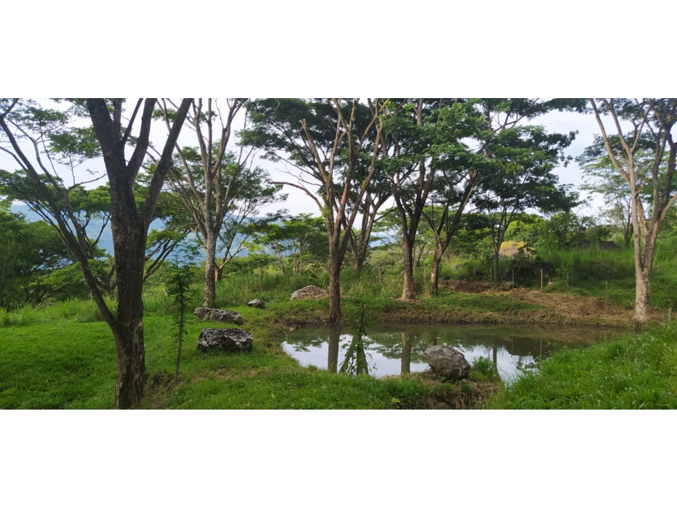 VENTA LOTE, JERICO - SUROESTE ANTIOQUEÑO - 3