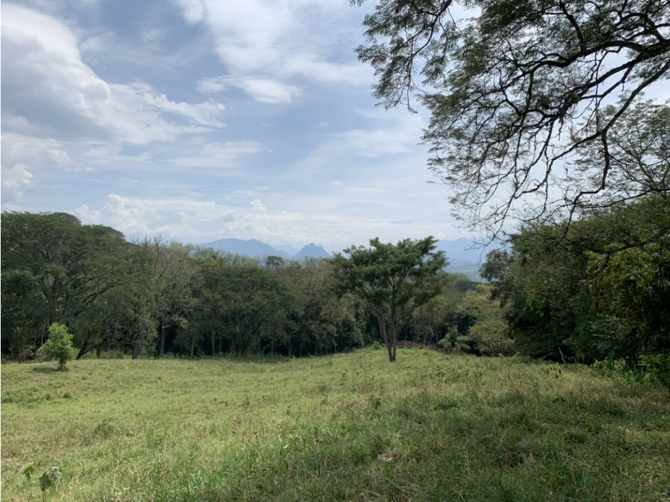 VENTA LOTE PUENTE IGLESIAS, FREDONIA SUROESTE ANTIOQUEÑO - 4