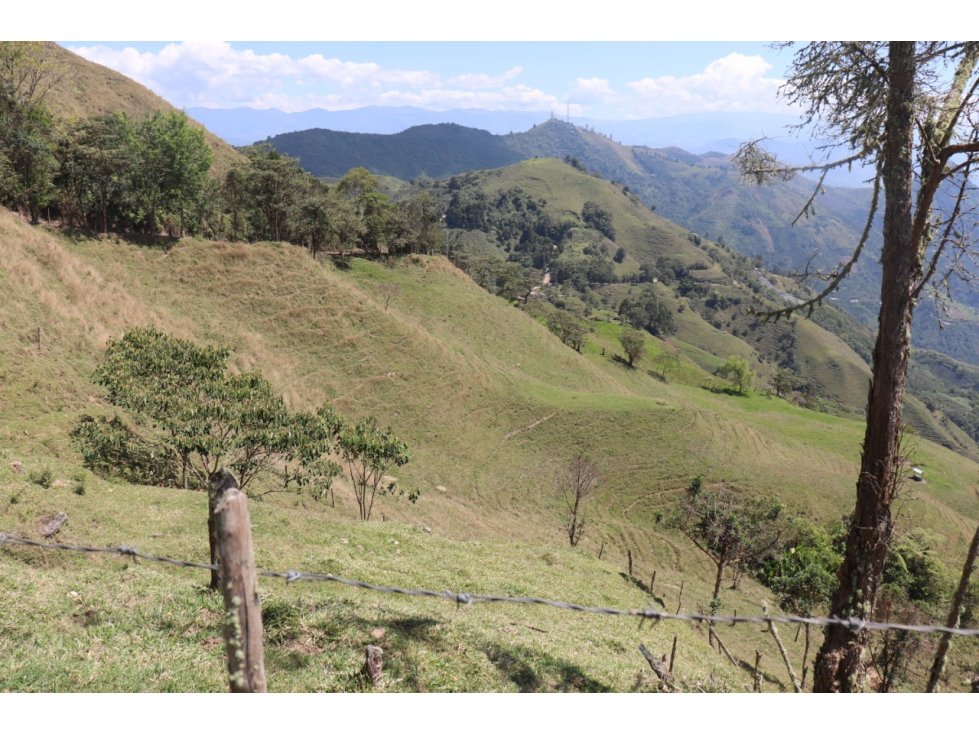 VENTA FINCA CARAMANTA, SUROESTE ANTIOQUEÑO - 6