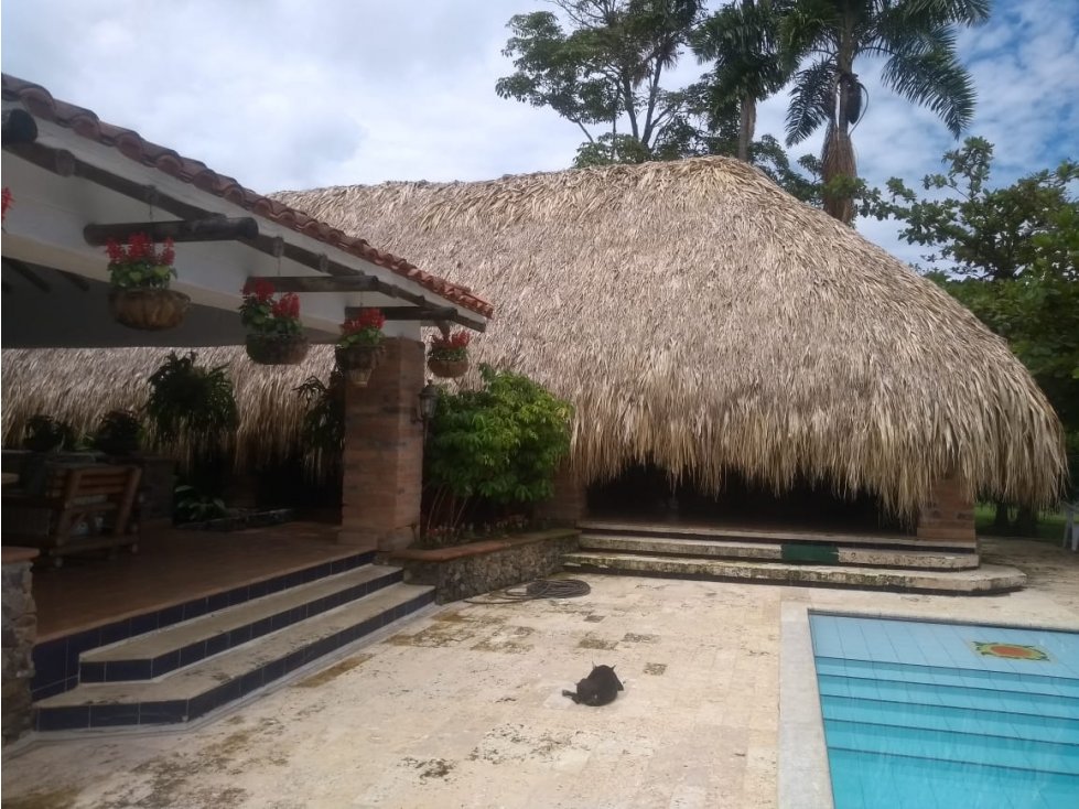 Vende Finca U/C Venecia, Suroeste Antioqueño — foto 6