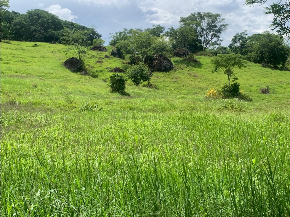 VENTA LOTE TÁMESIS, - SUROESTE ANTIOQUEÑO - 3