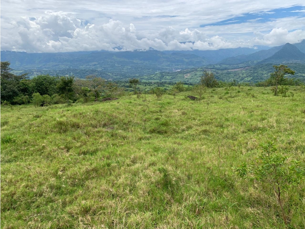 VENTA LOTE, TÁMESIS - SUROESTE ANTIOQUEÑO - 4