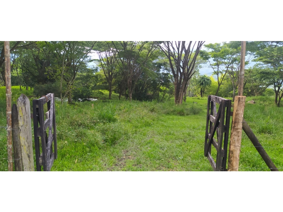 VENTA LOTE, JERICO - SUROESTE ANTIOQUEÑO - 4