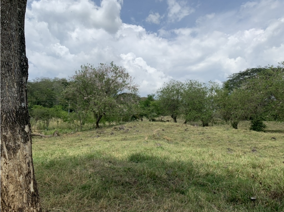VENTA LOTE PUENTE IGLESIAS, FREDONIA SUROESTE ANTIOQUEÑO - 6