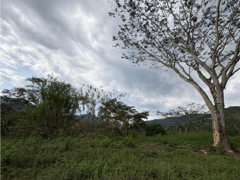 VENTA LOTE , LA SIRIA,SUROESTE ANTIOQUEÑO. - 5