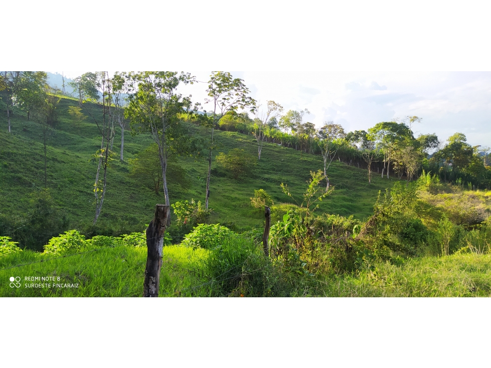 VENTA DE LOTE EN LA ESTRELLA. ANTIOQUIA - 2