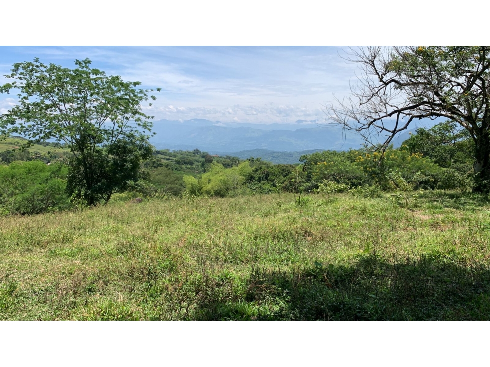 VENTA LOTE TÁMESIS, SUROESTE ANTIOQUEÑO - 3