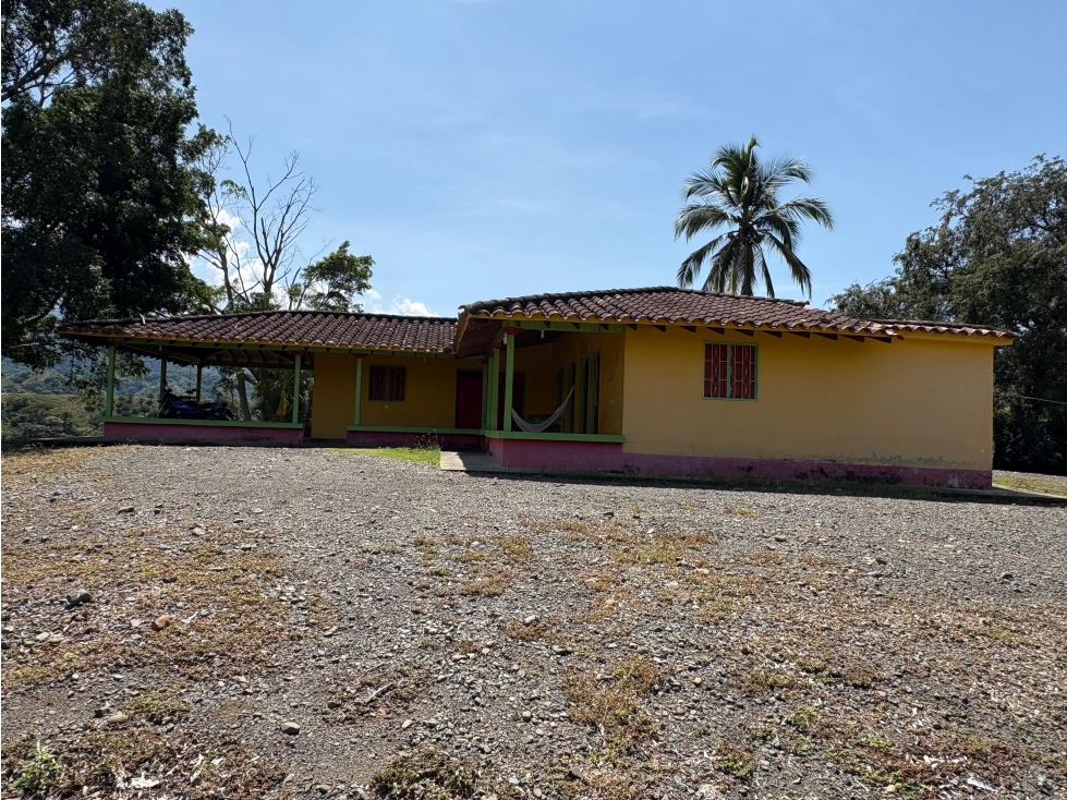 VENTA FINCA, BETULIA SUROESTE ANTIOQUEÑO - 4