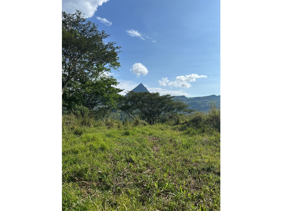 VENTA LOTE LA SIRIA - SUROESTE ANTIOQUEÑO AMAGÁ - 3