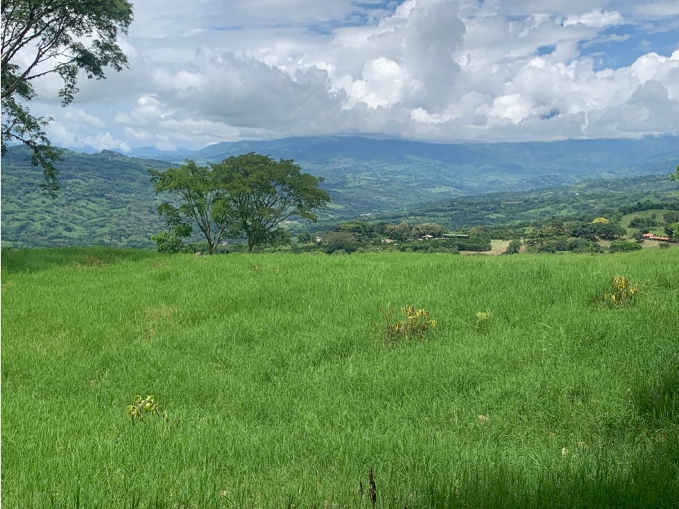 VENTA LOTE TÁMESIS, - SUROESTE ANTIOQUEÑO - 5