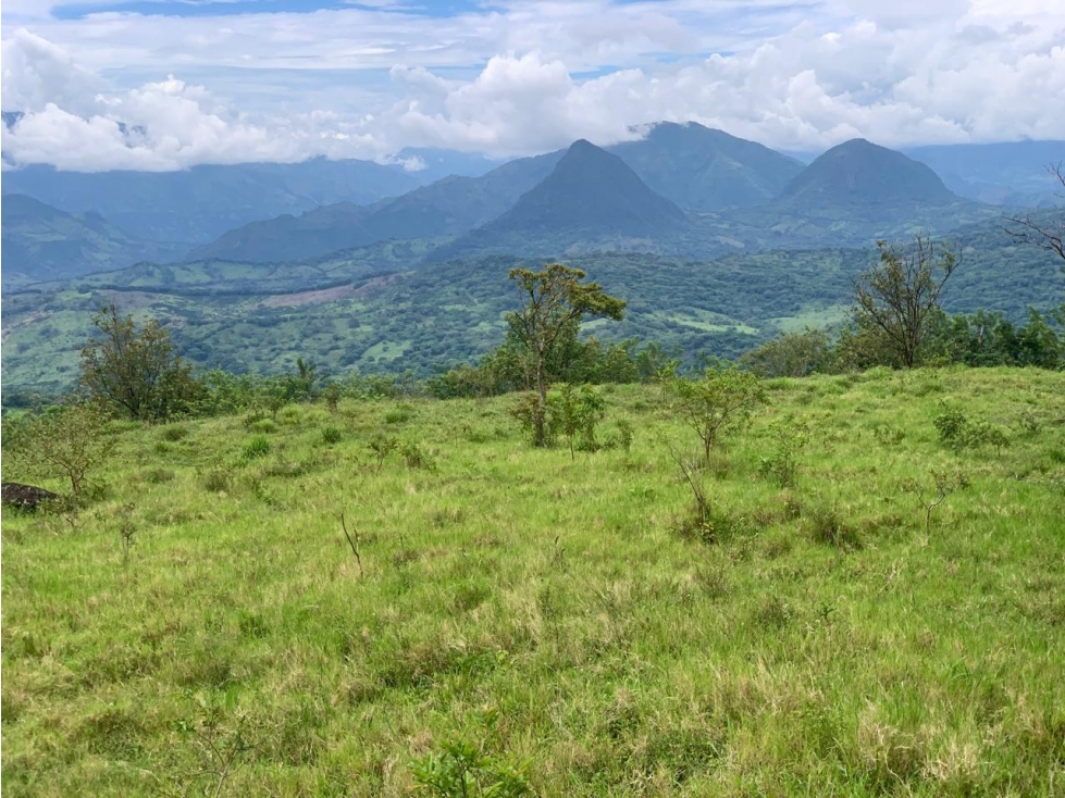 VENTA LOTE, TÁMESIS - SUROESTE ANTIOQUEÑO - 1
