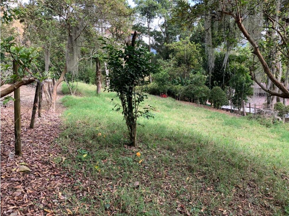VENTA LOTE, AMAGÁ - SUROESTE ANTIOQUEÑO - 6