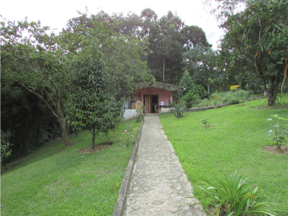 Finca caldas Suroeste Antioqueño - 2