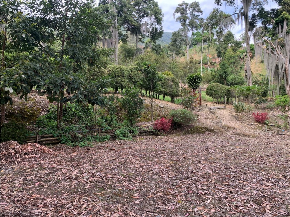 VENTA LOTE, AMAGÁ - SUROESTE ANTIOQUEÑO - 4