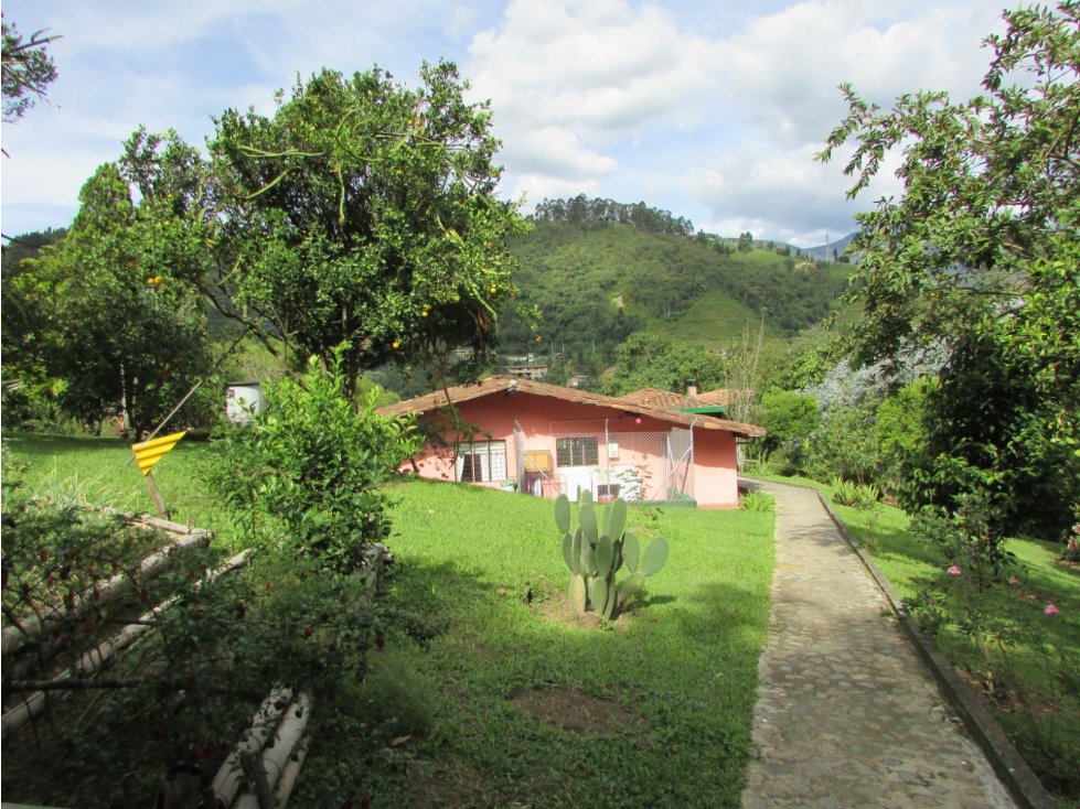 Finca caldas Suroeste Antioqueño - 4