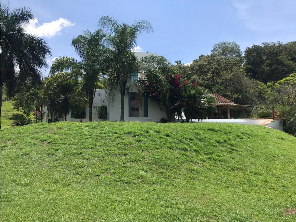 venta Finca Venecia, suroeste antioqueño — foto 3
