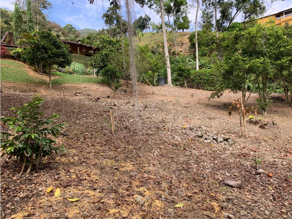 VENTA LOTE, AMAGÁ - SUROESTE ANTIOQUEÑO - 3