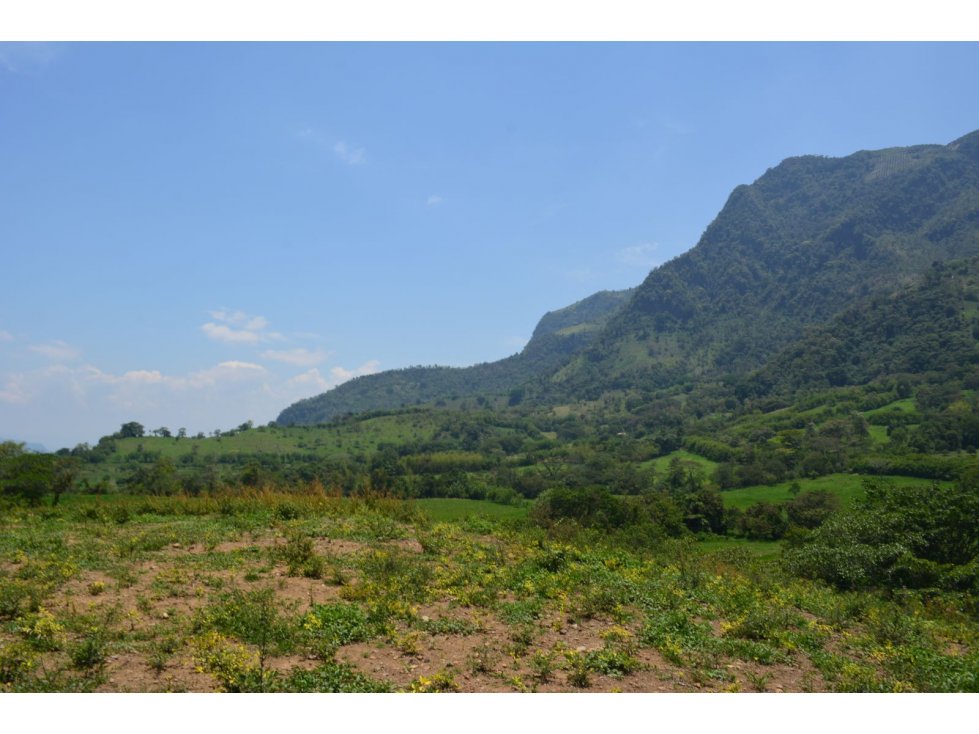 VENTA LOTE JERICO, SUROESTE ANTIOQUEÑO. - 4