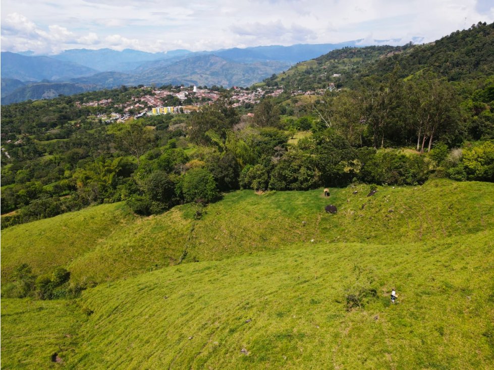 VENTA LOTES VALPARAÍSO, SUROESTE ANTIOQUEÑO — foto 2
