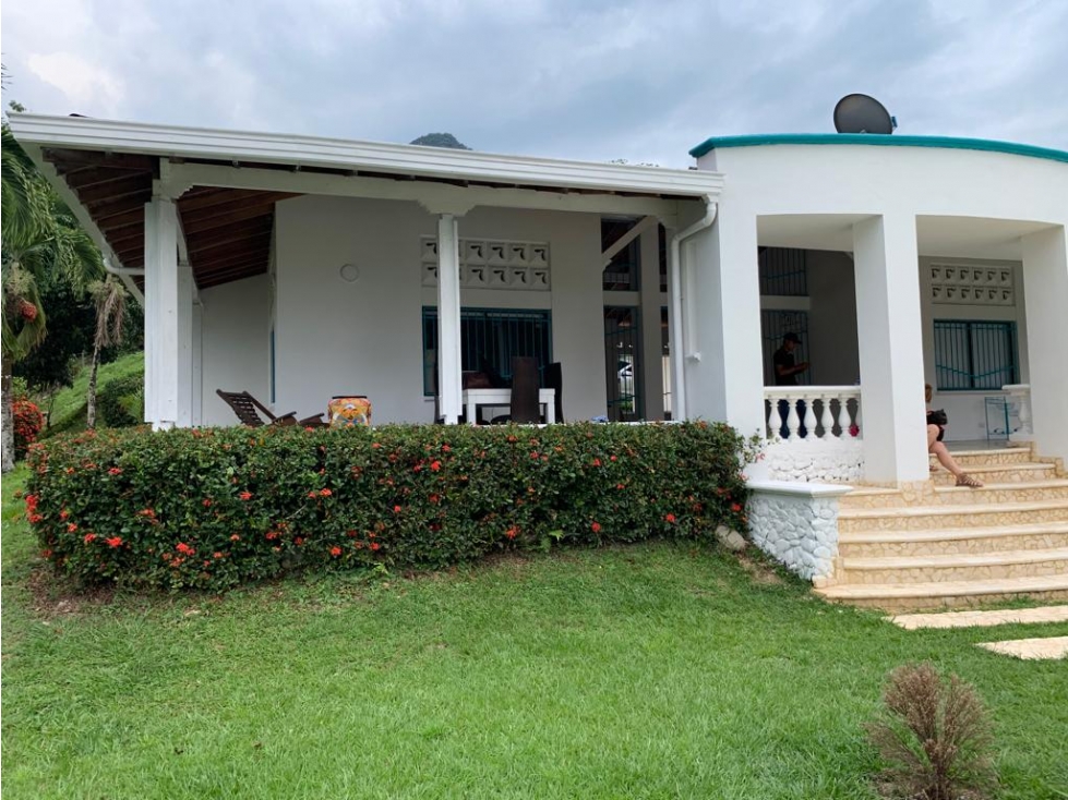 VENTA FINCA LA PINTADA, SUROESTE ANTIOQUEÑO - 4