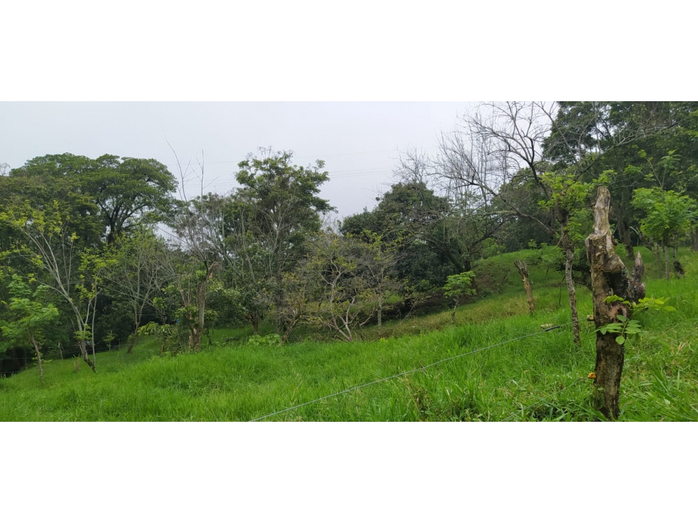 VENTA LOTE VENECIA, SUROESTE ANTIOQUEÑO - 3