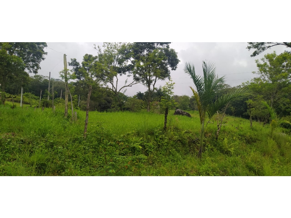 VENTA LOTE VENECIA, SUROESTE ANTIOQUEÑO - 5