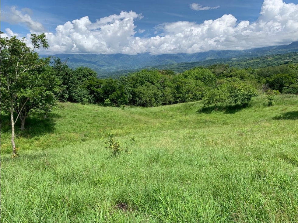 VENTA LOTE TÁMESIS - SUROESTE ANTIOQUEÑO - 4