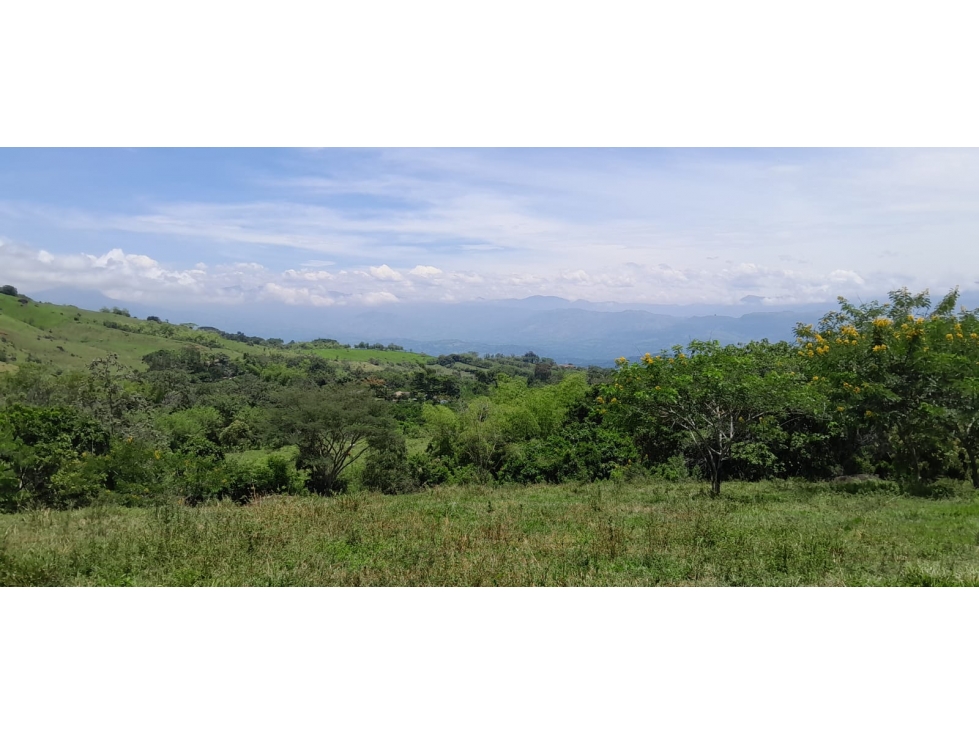 VENTA LOTE TÁMESIS, SUROESTE ANTIOQUEÑO - 1