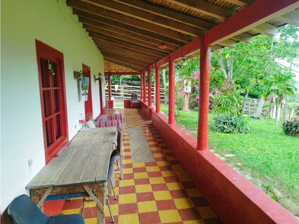 VENTA FINCA GANADERA CONCORDIA, SUROESTE ANTIOQUEÑO - 3
